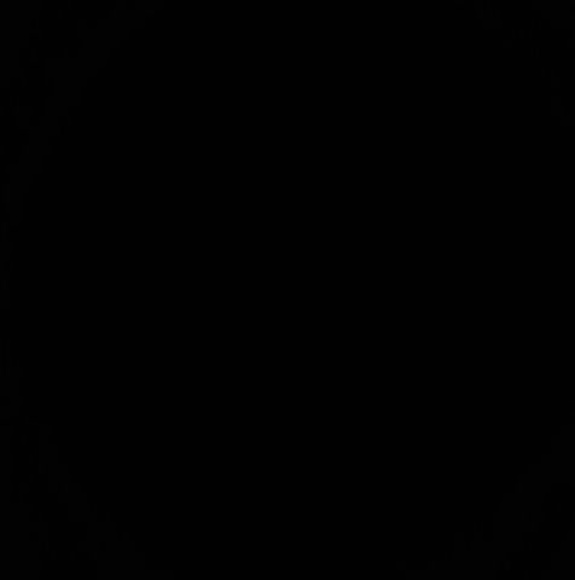 Meet your Posher, Cameron - Picture 1 of 1